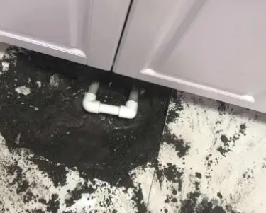 太白查漏水哪家好